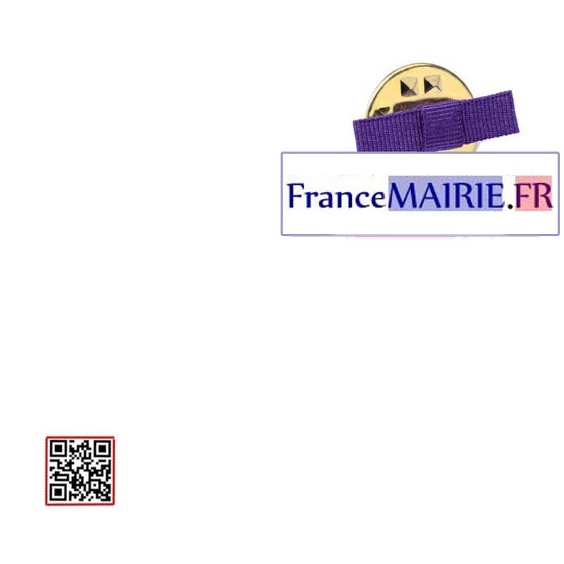 Noeud Femme ruban boutonnière Palmes Académiques Chevalier