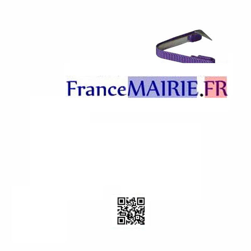 Fixe ruban boutonnière Palmes Académiques Chevalier