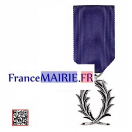 Médaille Palmes Académiques Chevalier