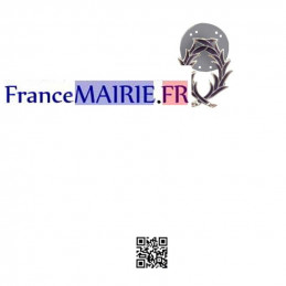 Pins boutonnière métal Palmes Academiques chevalier