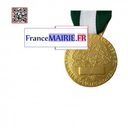 Madaille d'honneur Communale Vermeil 35 ans d'ancienneté zoom