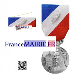 Médaille Sécurite Intérieure Argent Ordonnance avec barrette Agrafe en option