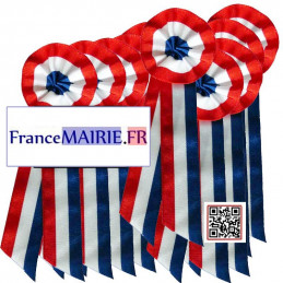 COCARDE TISSU TRICOLE AVEC TRESSE - PACK DE 10