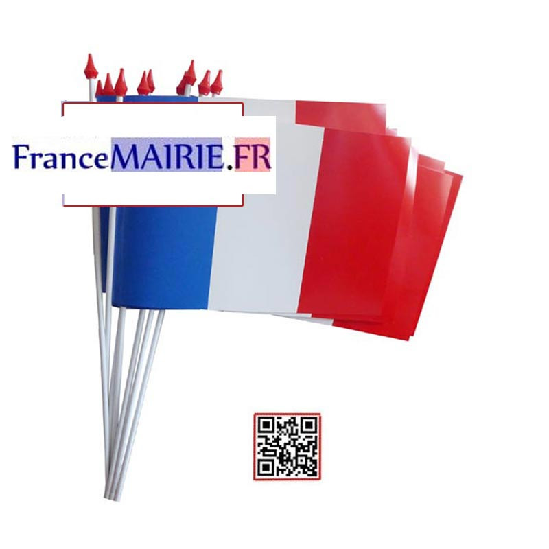 DRAPEAU A AGITER PACK DE 10 drapeaux - dimension 10 cm / 15 cm